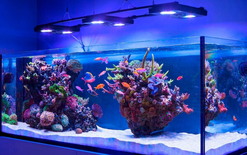 Морской аквариум с подсветкой